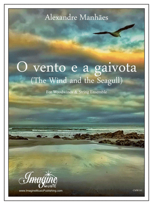 Book cover for O vento e a gaivota (The Wind and the Seagull)