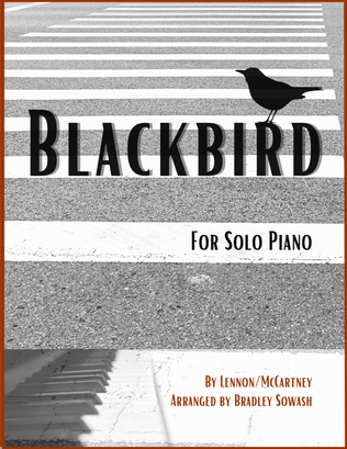 Book cover for Blackbird