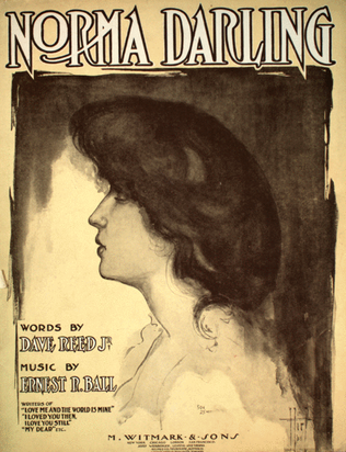 Book cover for Norma Darling