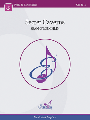 Book cover for Secret Caverns