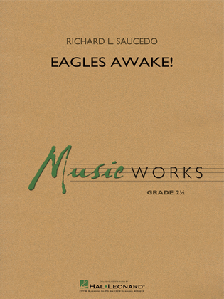 Book cover for Eagles Awake!