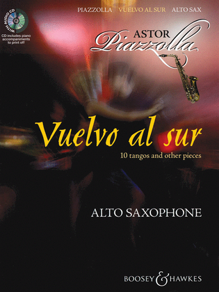 Book cover for Vuelvo al sur