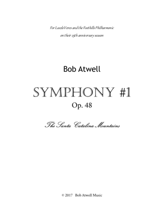 Book cover for Symphony #1