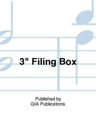 3in Filing Box