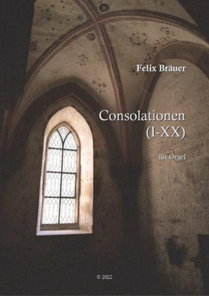 Book cover for Consolationen I-XX