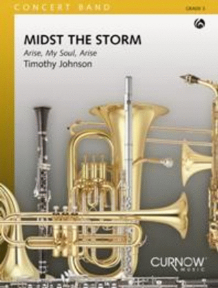 Book cover for Midst the Storm