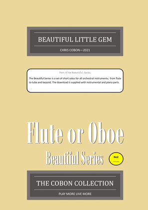 Book cover for No.2 Beautiful Little Gem for Flute or Oboe