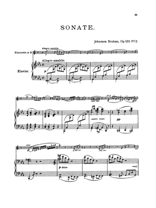 Book cover for Brahms: Two Sonatas, Op. 120