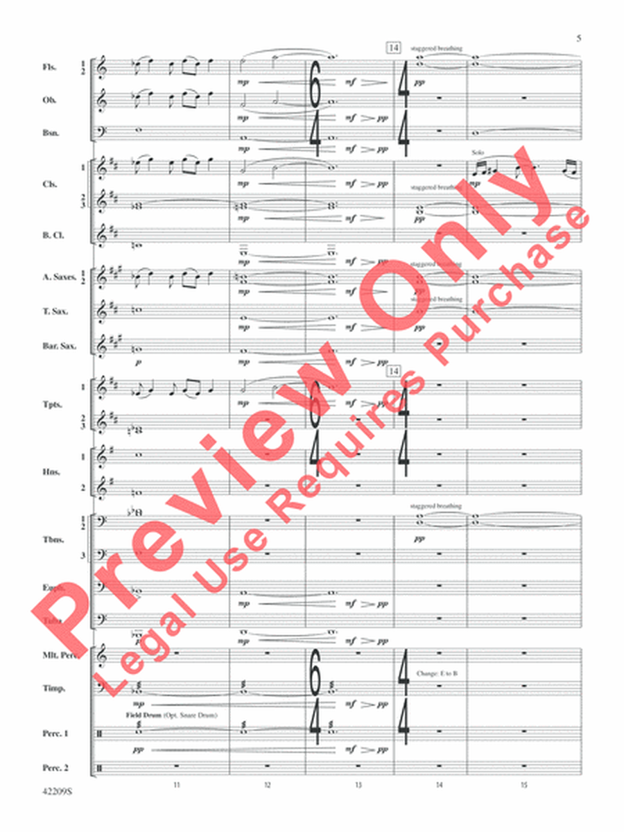 The Hobbit: The Desolation of Smaug, Suite from image number null