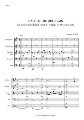 Book cover for CALL OF THE MOUNTAIN