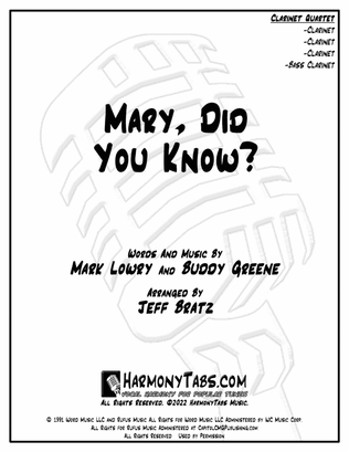 Book cover for Mary, Did You Know?