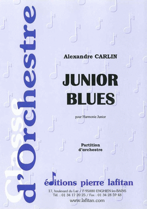 Book cover for Junior Blues