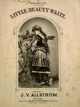 Book cover for Little Beauty Waltz