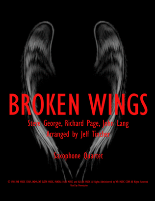 Broken Wings