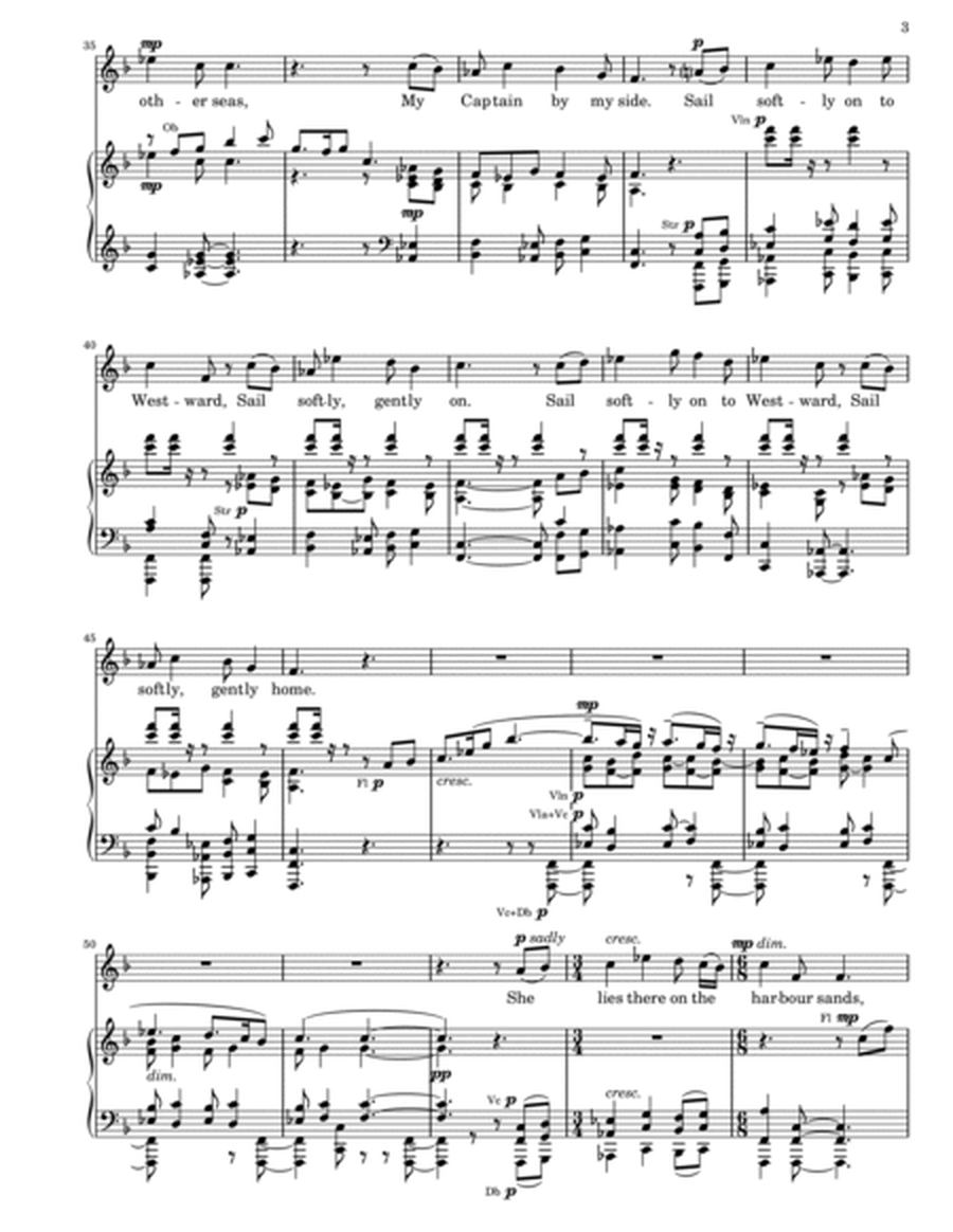 Ebb Tide - VOCAL SCORE image number null