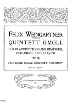 Book cover for Quintett g moll