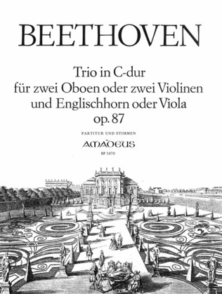 Book cover for Trio C major Op. 87