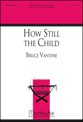 Book cover for How Still the Child