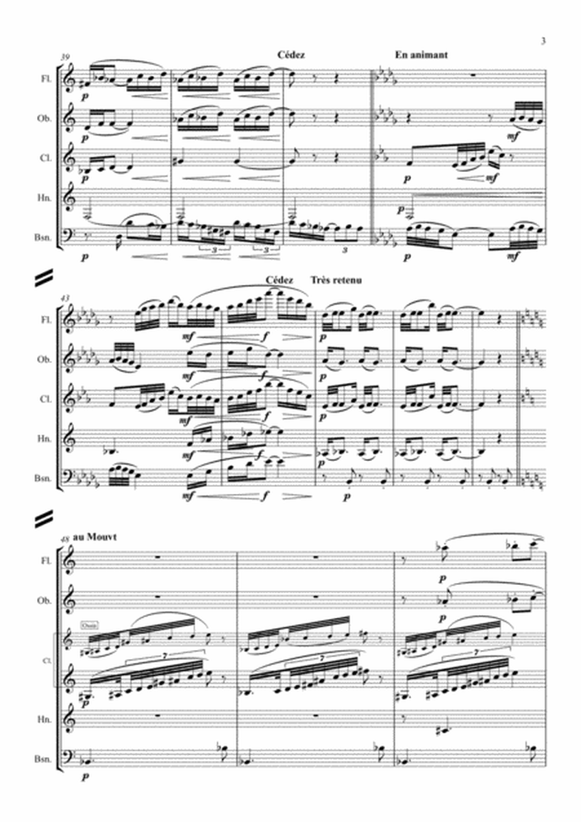 Debussy: Piano Preludes Bk.1 No.2 "Voiles" - wind quintet image number null