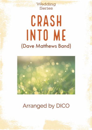 Book cover for Crash Into Me