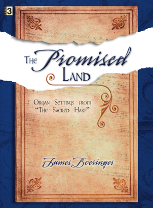 Book cover for The Promised Land