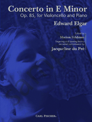 Book cover for Concerto In E Minor