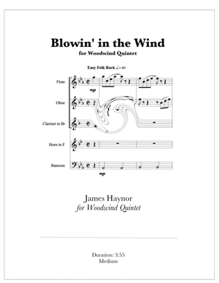 Book cover for Blowin' In The Wind