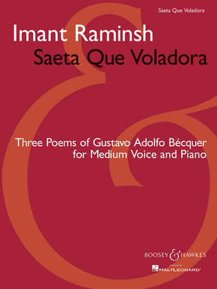 Book cover for Saeta Que Voladora