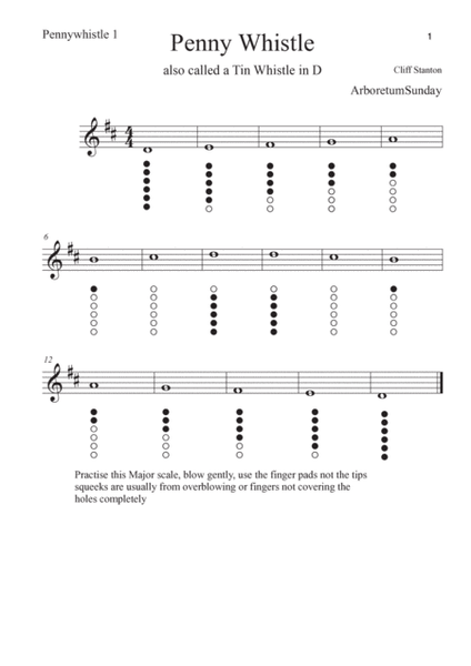 Tin Whistle Tunes -1