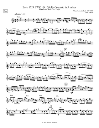 Bach 1729 BWV 1041 Violin Concerto in Am Solo Flute Part