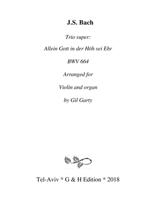 Book cover for Trio super: Allein Gott in der H