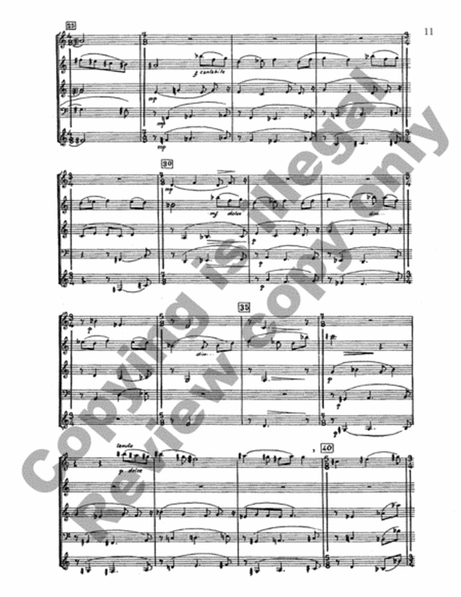 Concerto for Woodwind Quintet (Score)