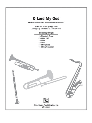 Book cover for O Lord, My God