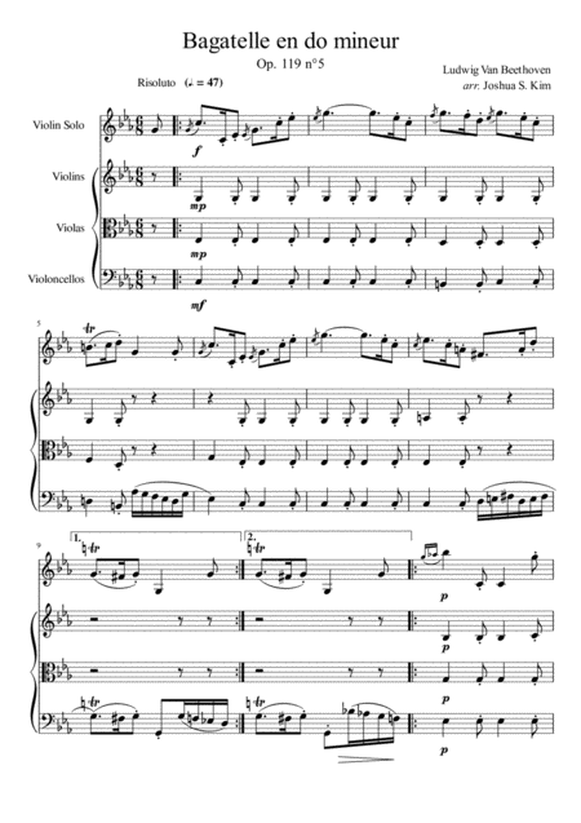 Bagatelle No.5, Op. 119 for String Ensemble (or String Quartet) image number null