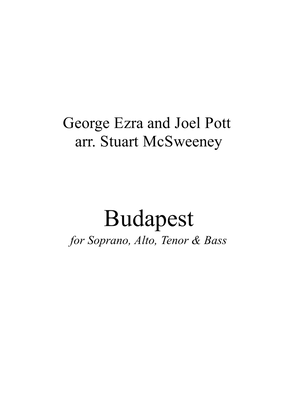 Book cover for Budapest