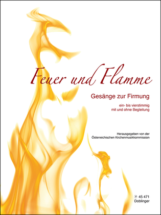 Book cover for Feuer und Flamme