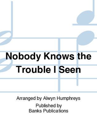 Book cover for Nobody Knows the Trouble I Seen