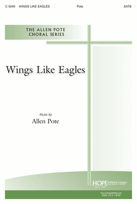 Book cover for Wings Like Eagles