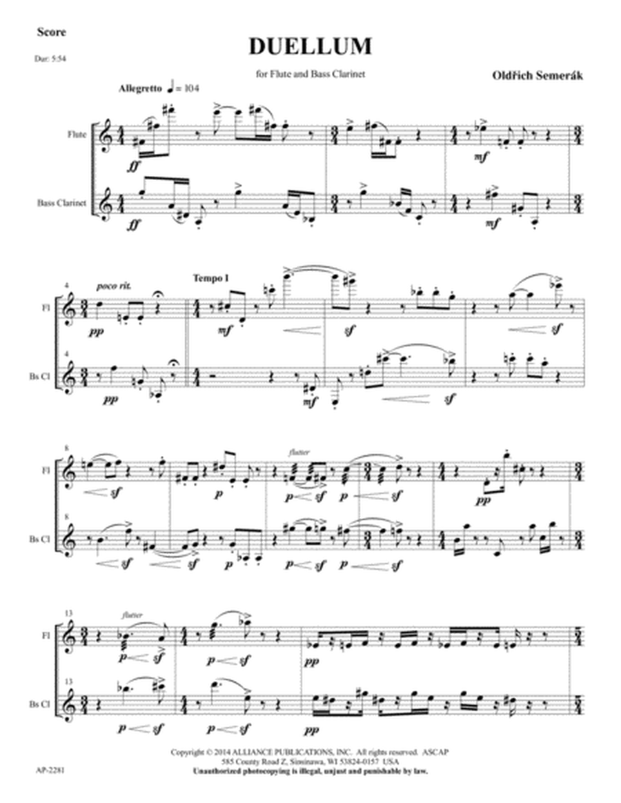 Duellum - Flute & Bass Clarinet Duet image number null