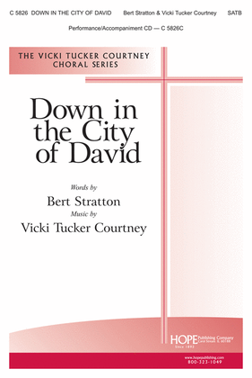 Book cover for Down in the City of David
