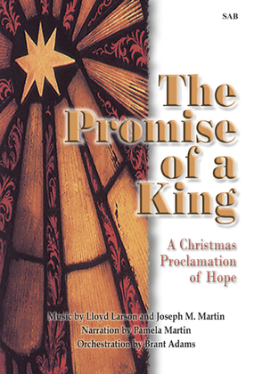 Book cover for The Promise of a King