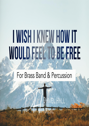 Book cover for I Wish I Knew How It Would Feel To Be Free