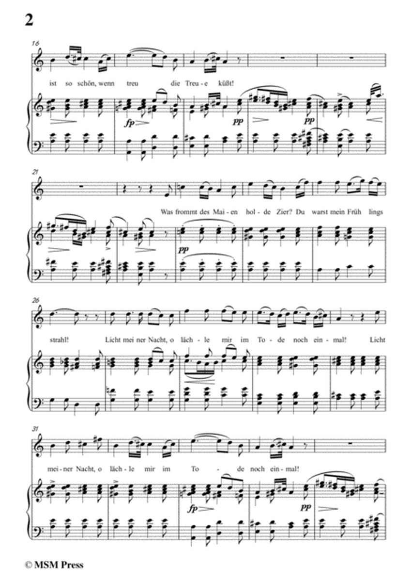 Schubert-Romanze,from 'the play Rosamunde',in a minor,Op.26,for Voice and Piano image number null