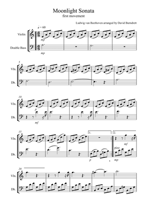Moonlight Sonata (1st movement) for Violin and Double Bass Duet