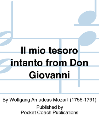 Book cover for Il mio tesoro intanto from Don Giovanni
