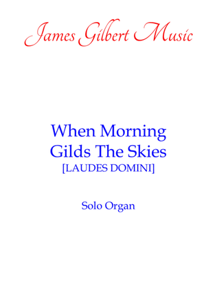 Book cover for When Morning Gilds The Skies