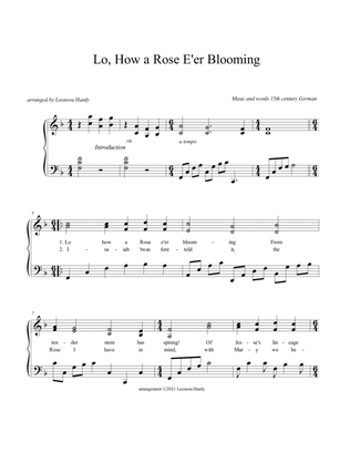 Book cover for Lo How a Rose 'Ere Blooming