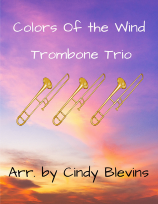 Book cover for Colors Of The Wind