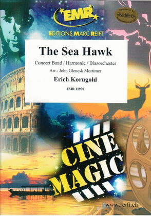 Book cover for The Sea Hawk