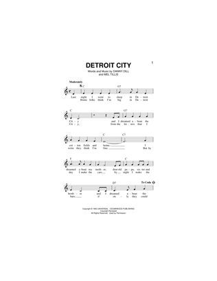 Book cover for Detroit City